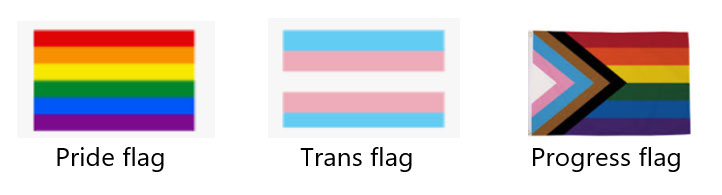 LGBT+flags.jpg